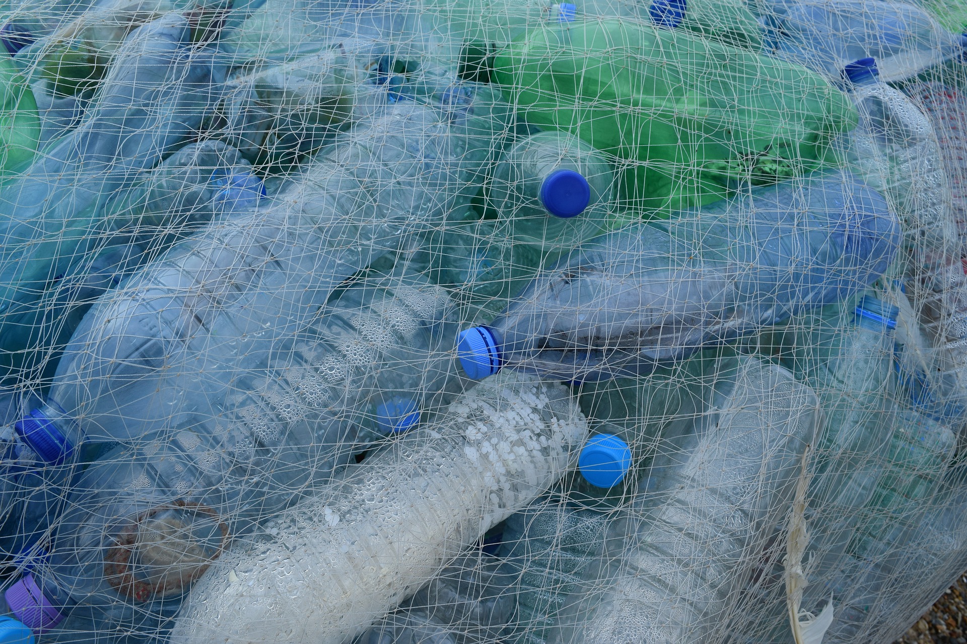 ¿Reciclas Correctamente Las Botellas De Plástico?